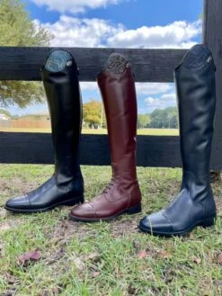 Deniro Tricolore Salentino Sakara Tall Boot -Riding Apparel Store 243131611 10165498646660548 2446954283525656918 n