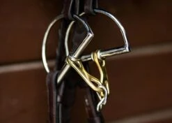 ProSeries Derby Bit - D Ring -Riding Apparel Store EHI TIEC finals 2 fc875200 cc3b 44c5 b1b8 09b2f5237457 jpg