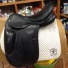 PDS Carl Hester Collection Monoflap Dressage Saddle 2 PDS Carl Hester Collection Monoflap Dressage Saddle -Riding Apparel Store IMG 4302