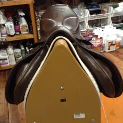 Stubben Roxane Jump Saddle - 17.5" 16 Stubben Roxane Jump Saddle - 17.5" -Riding Apparel Store IMG 4326