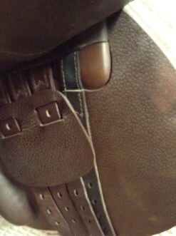 Prestige Archimede 2 Jump Saddle - 16" -Riding Apparel Store IMG 4500