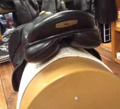 Black Country Tex Eventer - 19" 13 Black Country Tex Eventer - 19" -Riding Apparel Store IMG 4618