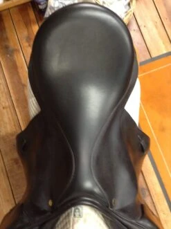 Black Country Tex Eventer - 19" 15 Black Country Tex Eventer - 19" -Riding Apparel Store IMG 4621