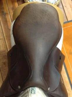 SOLD - Voltaire Palm Beach Jump Saddle 2017 - 17" 15 SOLD - Voltaire Palm Beach Jump Saddle 2017 - 17" -Riding Apparel Store IMG 4630