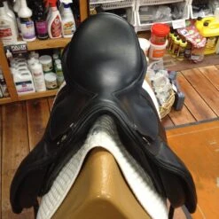 M Toulouse Diana Dressage - 17" -Riding Apparel Store IMG 4840