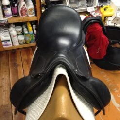 Frank Baines Union Lux - 18" -Riding Apparel Store IMG 4875