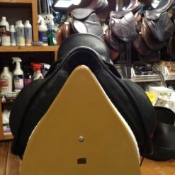 Frank Baines Union Lux - 18" -Riding Apparel Store IMG 4876