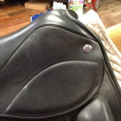 Frank Baines Union Lux - 18" -Riding Apparel Store IMG 4878