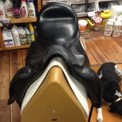 Cardanel Dressage Saddle - 17.5" -Riding Apparel Store IMG 5044