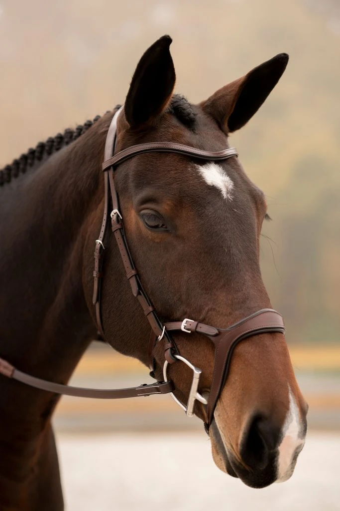 KL Select Tucson Bridle 3 KL Select Tucson Bridle