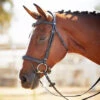 Kavalkade Ivy Plus Bridle -Riding Apparel Store KavalkadeIvyPlusBridle