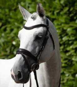 Premier Equine Rizzo Anatomic Snaffle Bridle With Flash -Riding Apparel Store PERizzobridlebrown
