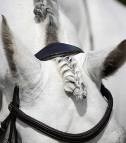 Premier Equine Rizzo Anatomic Snaffle Bridle With Flash -Riding Apparel Store PERizzocrownpiecebrown