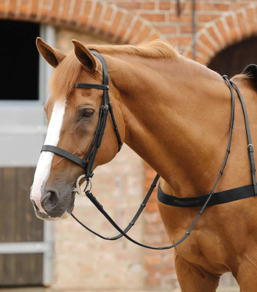 Premier Equine Salvatore Rubber And Leather Reins 3 Premier Equine Salvatore Rubber And Leather Reins