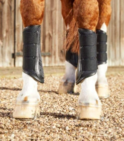 Premier Equine Carbon Air Tech Single Locking Brushing Boots 10 Premier Equine Carbon Air Tech Single Locking Brushing Boots -Riding Apparel Store PEcarbon air tech single locking brushing bootsblk1