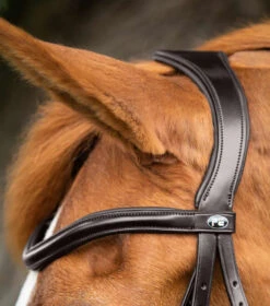 Premier Equine Glorioso Grackle Bridle -Riding Apparel Store PEglorioso grackle bridle2