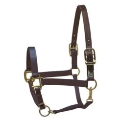 Perri's Safety Halter -Riding Apparel Store Perri sSafetyHalternavy