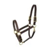 Perri's 1" Havana Turnout Halter -Riding Apparel Store Perri sTurnoutHalter