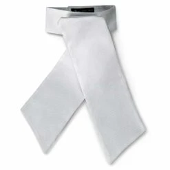 RJ Classics Radnor Traditional Stock Tie