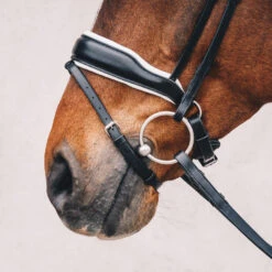Schockemoehle Stanford Dressage Bridle -Riding Apparel Store SchockemoehleStanford blackwhitesilver 2