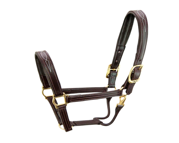 Walsh Signature Padded Halter 3 Walsh Signature Padded Halter