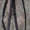 KL Select Black Oak Fancy Stitching Raised Standing Martingale -Riding Apparel Store blackoakstand