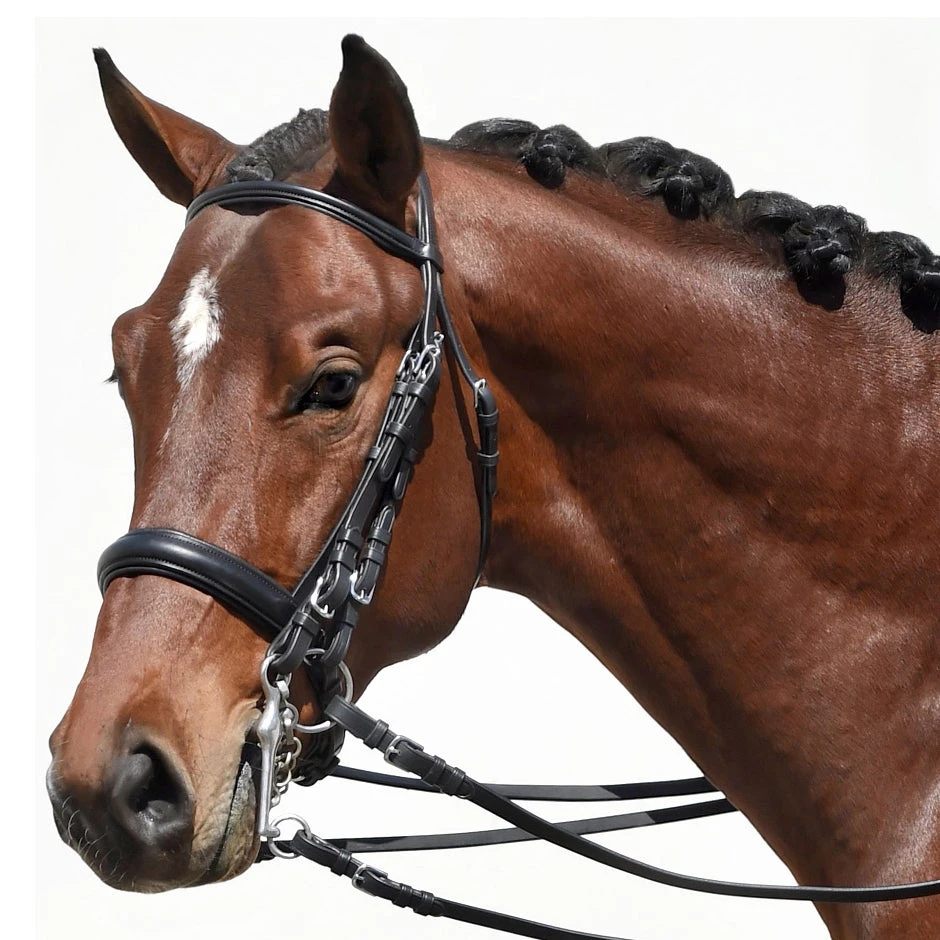 Bobby's Tack Padded Dressage Weymouth Double Bridle 3 Bobby's Tack Padded Dressage Weymouth Double Bridle