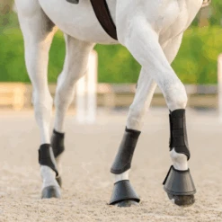 Equifit Essential® Everyday™ Front Boots -Riding Apparel Store download 4