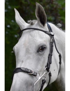 Jump'In Hackamore Bridle -Riding Apparel Store jumpin10