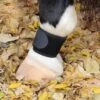 Professional's Choice VenTECH Pastern Wrap -Riding Apparel Store pc