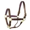 Perri's 1" Leather Padded Halter -Riding Apparel Store perrispadded