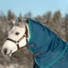 Rhino Turnout Hood 2 Rhino Turnout Hood -Riding Apparel Store rhino hood lite 0g 600x640 1