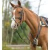 Shires 5-Point Padded Breastplate -Riding Apparel Store shires