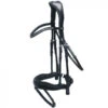 Schockemoehle Stanford Dressage Bridle -Riding Apparel Store sho